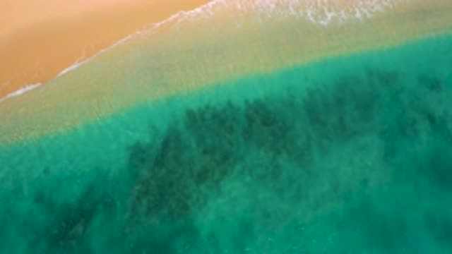EL CARDONCITO BCS MEXICO-2020: The Gentle Ocean Waves Returning From The Shores