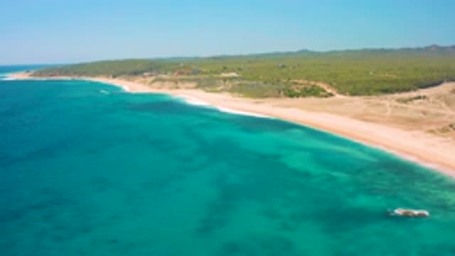 EL CARDONCITO BCS MEXICO-2020: With White Cloud Up Above