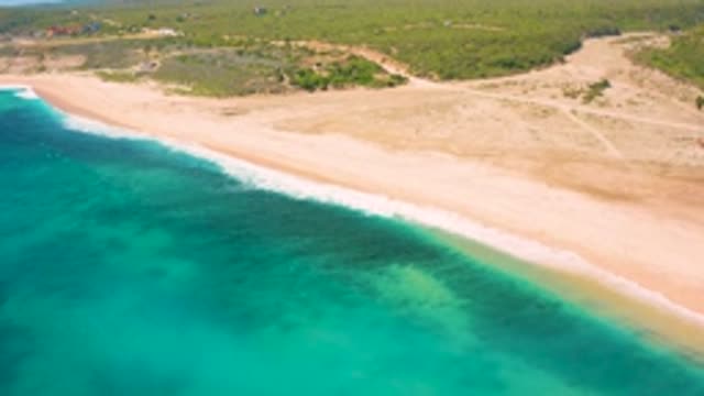 EL CARDONCITO BCS MEXICO-2020: With White Waves Hitting