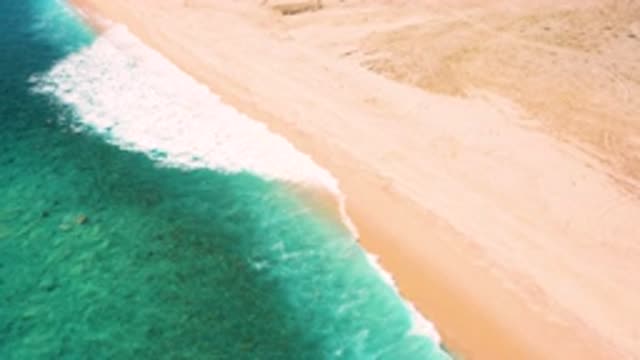 EL CARDONCITO BCS MEXICO-2020: Beautiful Beach Green Sea In A Day Brown Color