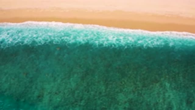 EL CARDONCITO BCS MEXICO-2020: A Beach With Soft Sand and Blue Crystal Clear Sea