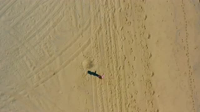EL CARDONCITO BCS MEXICO-2020: Overhead Shot Of Person Wearing Pink Running On Sand