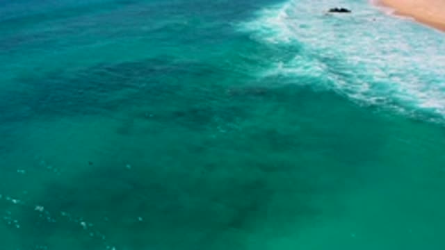 EL CARDONCITO BCS MEXICO-2020: Grand And Beautiful Beach Resort For A Relaxing