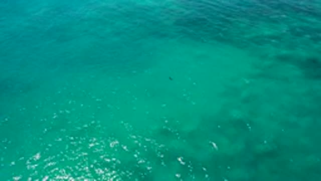 EL CARDONCITO BCS MEXICO-2020: Overview Of A Large Body Of Water On A Sunny Day