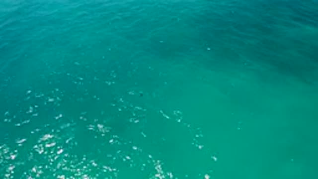 EL CARDONCITO BCS MEXICO-2020: View Of Crystal Clear Waters Rippled By The Wind