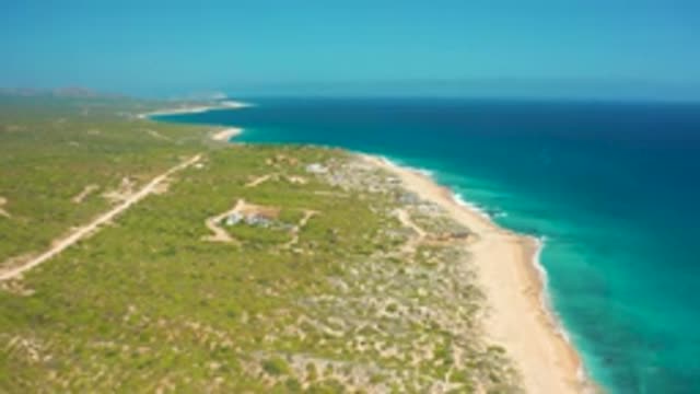 EL CARDONCITO BCS MEXICO-2020: Long Beach With Soft Sand Green Bushes Near It