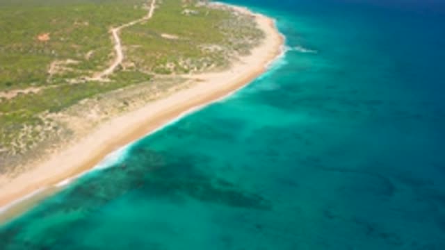 EL CARDONCITO BCS MEXICO-2020: Dirt Tracks Leading To A Beautiful Vacant Beach