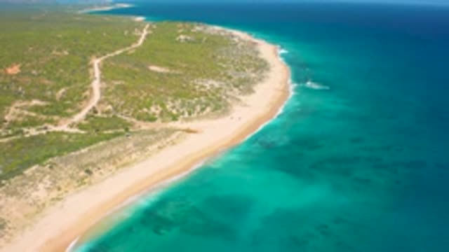 EL CARDONCITO BCS MEXICO-2020: Lengthy Narrow Road with Green Trees and Plants Around
