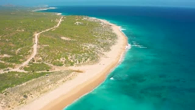EL CARDONCITO BCS MEXICO-2020: Bird's-Eye View Of Shoreline With Green Foliage
