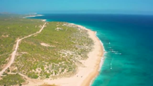 EL CARDONCITO BCS MEXICO-2020: Green Trees And Plants Around Long Beach With Blue Sea