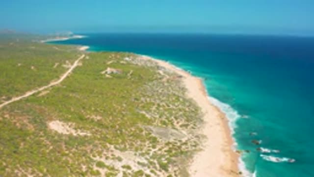 EL CARDONCITO BCS MEXICO-2020: Plants Looking Beautiful Near Beach Focusing From
