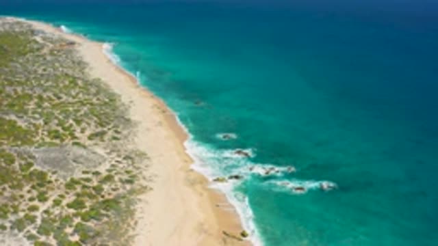 EL CARDONCITO BCS MEXICO-2020: Long Beach Strong Hard Rock In The Shore White