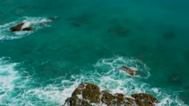 EL CARDONCITO BCS MEXICO-2020: A Green Greenish Peace
