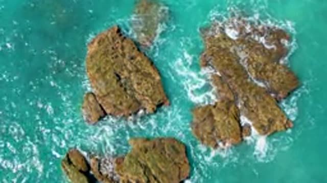 EL CARDONCITO BCS MEXICO-2020: Places To Tour In The Paradise Place That God Created