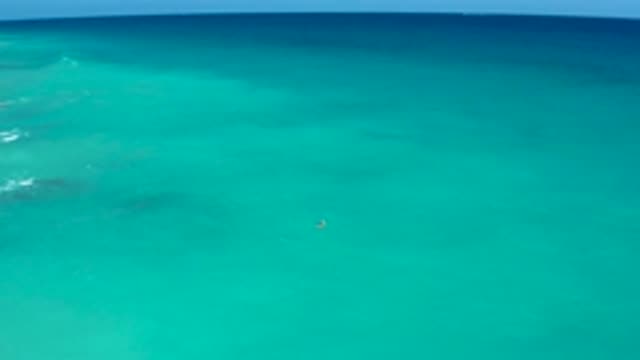 EL CARDONCITO BCS MEXICO-2020: Focusing Object Moving In Sea