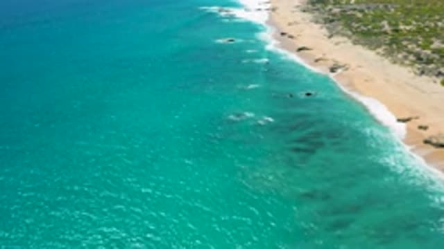 EL CARDONCITO BCS MEXICO-2020: The Fantastic Shoreline Not To Ignore
