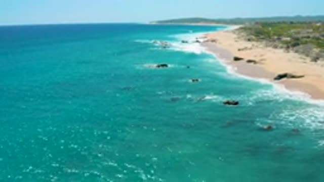 EL CARDONCITO BCS MEXICO-2020: A Sandy Shore Of A Vacant Beach