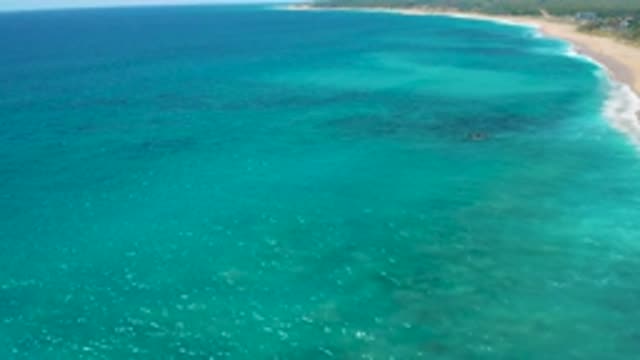 EL CARDONCITO BCS MEXICO-2020: Sunny Cloudless Calm Clear Warm Cerulean Blue
