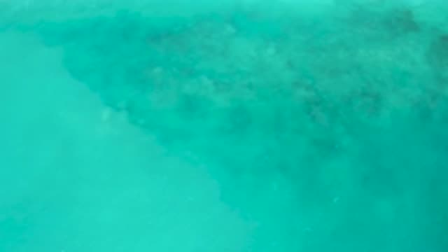 EL CARDONCITO BCS MEXICO-2020: Video Showing Clear Transparent Water From The
