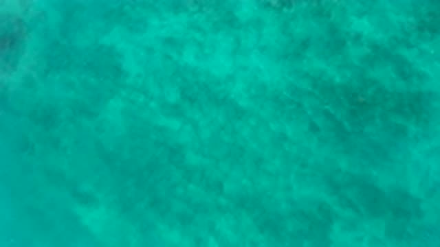 EL CARDONCITO BCS MEXICO-2020: A Warm Green Ocean By The Afternoon