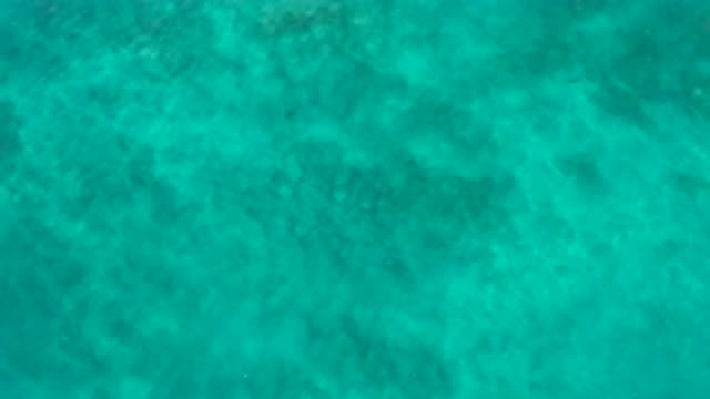 EL CARDONCITO BCS MEXICO-2020: Beautiful View Of Crystal Clear Blue Waters