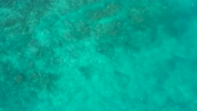 EL CARDONCITO BCS MEXICO-2020: Crystal Clear Blue Sea Water With Strong Waves