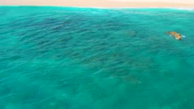 EL CARDONCITO BCS MEXICO-2020: Aerial View Of A Deep Green Ocean