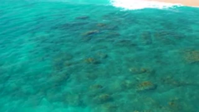 EL CARDONCITO BCS MEXICO-2020: Green And Blue Shades Crystal Sea Rocky Bottom