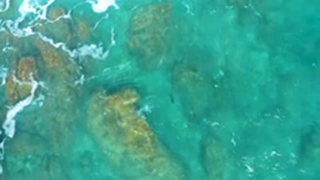 EL CARDONCITO BCS MEXICO-2020: Big Rocks Visible in Running Blue Sea