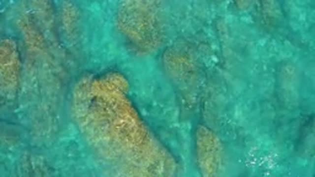 EL CARDONCITO BCS MEXICO-2020: Capturing Fish As They Swim Along With The Moving Tide
