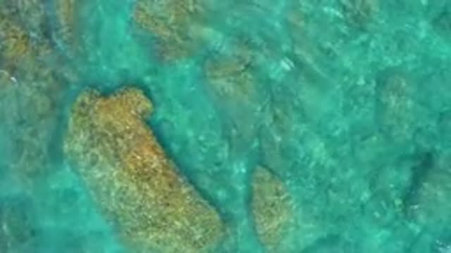 EL CARDONCITO BCS MEXICO-2020: Beige Rocks Visible Beneath Crystal Blue Water