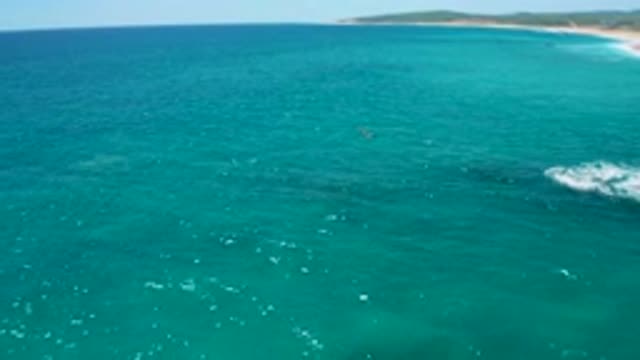 EL CARDONCITO BCS MEXICO-2020: Open Water On A Perfect Day