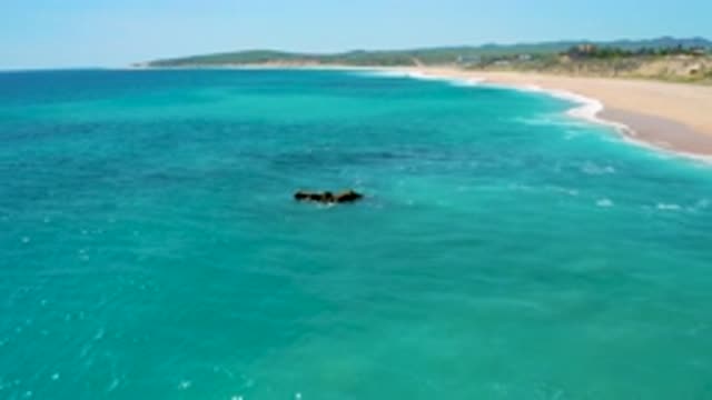 EL CARDONCITO BCS MEXICO-2020: Long Beach Blue Crystal Clear Sea Water One Hard