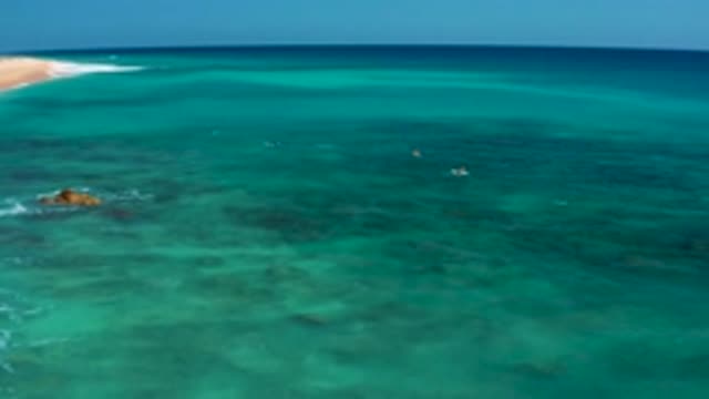 EL CARDONCITO BCS MEXICO-2020: Camera Panning Over Ocean With Clear Water To See