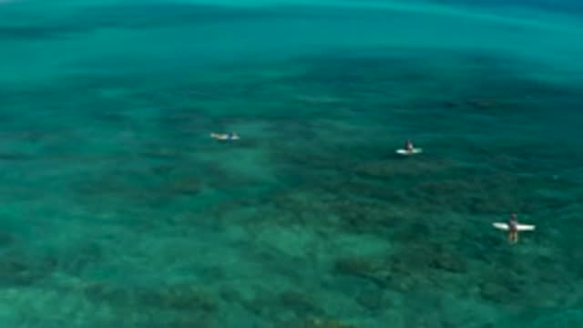 EL CARDONCITO BCS MEXICO-2020: Clear Ocean With 3 Surfers Paddling In The Water