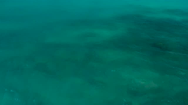 EL CARDONCITO BCS MEXICO-2020: Beautiful and Deep Warm Ocean in Mexico