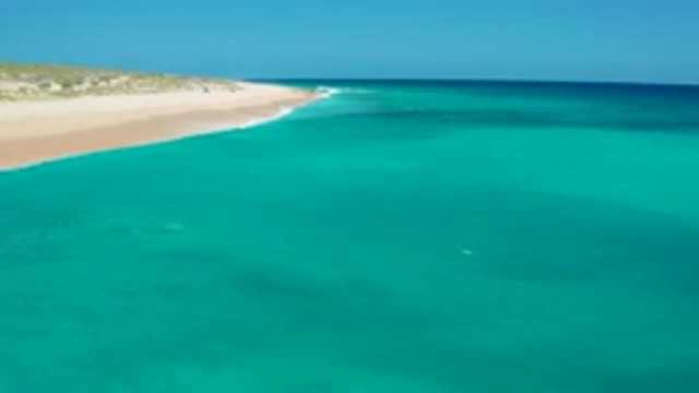 EL CARDONCITO BCS MEXICO-2020: A Blue And Clean Beach