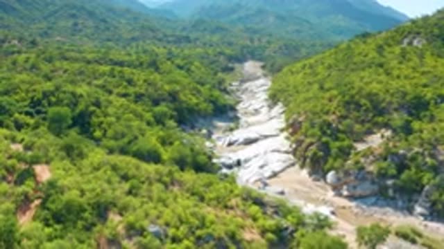LA PALMA BCS MEXICO-2020: White Rock In The Center Of Dense Forest With Tall And