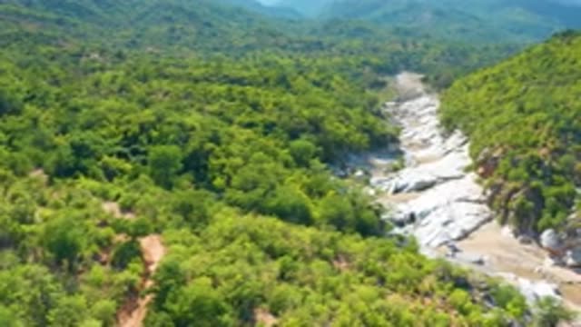 LA PALMA BCS MEXICO-2020: Panoramic View Of Jungle