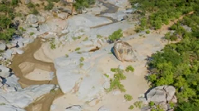 LA PALMA BCS MEXICO-2020: Extreme Adventures In A Riverbed Full Of Vegetation