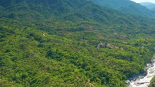 LA PALMA BCS MEXICO-2020: Beautiful View From Above Of Tree Filled Landscape