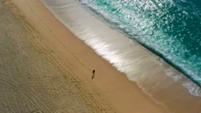 DESERT PARK NATURAL RESERVE BAJA CALIFORNIA SUR MEXICO-2020: Aerial View of Person Walking on Sandy Beach