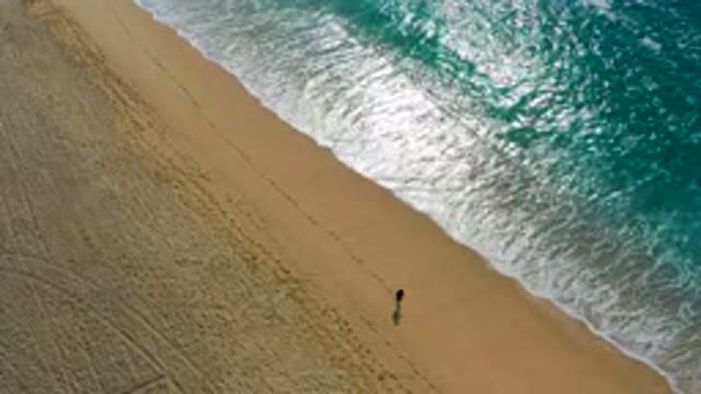 DESERT PARK NATURAL RESERVE BAJA CALIFORNIA SUR MEXICO-2020: Aerial View Of Person Walking Along Sandy Beach