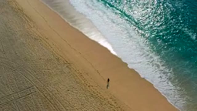 DESERT PARK NATURAL RESERVE BAJA CALIFORNIA SUR MEXICO-2020: Aerial View of Person Walking on Beach