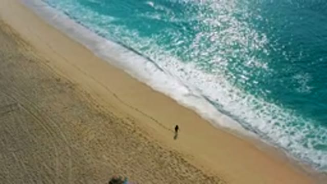 DESERT PARK NATURAL RESERVE BAJA CALIFORNIA SUR MEXICO-2020: Aerial View of Person Walking on Sandy Beach