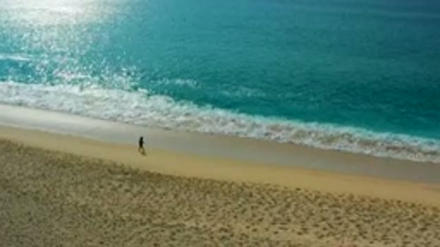 DESERT PARK NATURAL RESERVE BAJA CALIFORNIA SUR MEXICO-2020: Aerial View of Person Walking on Beach