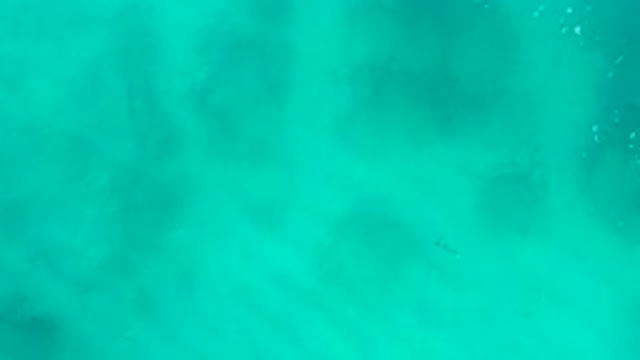 DESERT PARK NATURAL RESERVE BAJA CALIFORNIA SUR MEXICO-2020: Aerial View Of Turquoise Water With Dark Shadows