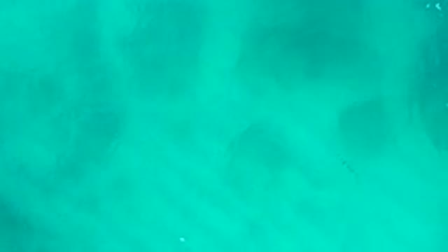 DESERT PARK NATURAL RESERVE BAJA CALIFORNIA SUR MEXICO-2020: Aerial View Of Turquoise Shallow Ocean Water