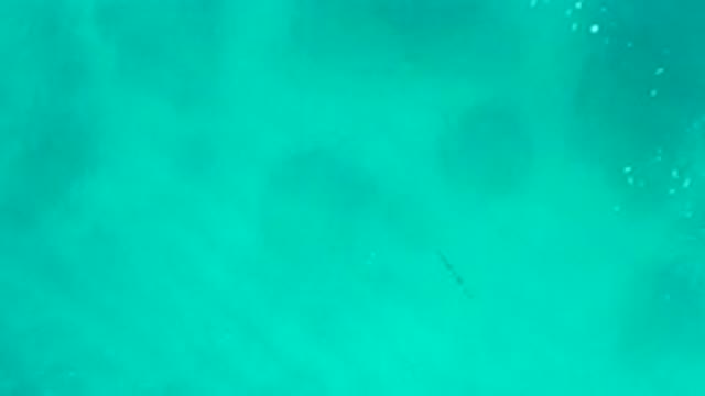 DESERT PARK NATURAL RESERVE BAJA CALIFORNIA SUR MEXICO-2020: Aerial View Of Turquoise Water With Bubbles