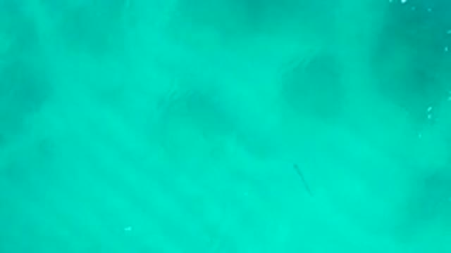DESERT PARK NATURAL RESERVE BAJA CALIFORNIA SUR MEXICO-2020: Aerial View Of Turquoise Water With Fish Shadow